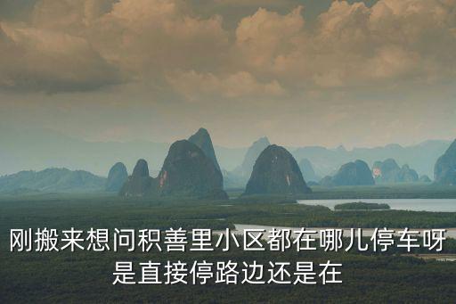 剛搬來想問積善里小區都在哪兒停車呀是直接停路邊還是在