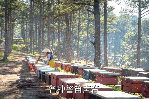 各種警笛聲音