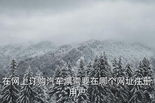在網上訂購汽車票需要在哪個網址注冊用戶