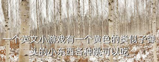外國小游戲，外國有什么好游戲