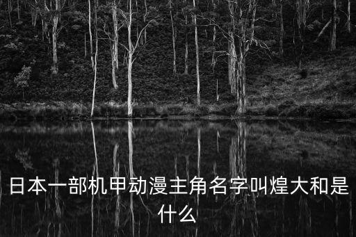 日本一部機甲動漫主角名字叫煌大和是什么