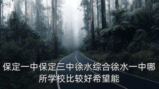 保定三中分校，保定一中保定三中徐水綜合徐水一中哪所學校比較好希望能