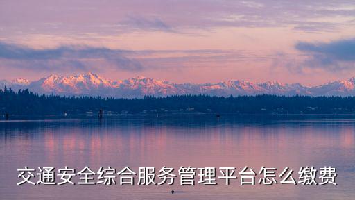 廣東交通安全綜合服務(wù)管理平臺(tái)，廣東 交通安全綜合服務(wù)管理平臺(tái)沒注冊(cè)就不能查詢違章信息么  問