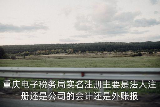 重慶電子稅務(wù)局實(shí)名注冊(cè)主要是法人注冊(cè)還是公司的會(huì)計(jì)還是外賬報(bào)