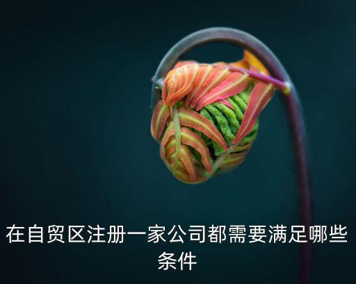 自貿區內注冊公司，自貿區公司注冊的一般流程是怎樣的