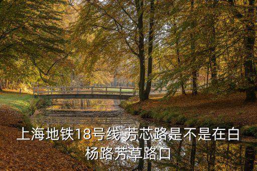 上海地鐵18號線 芳芯路是不是在白楊路芳草路口