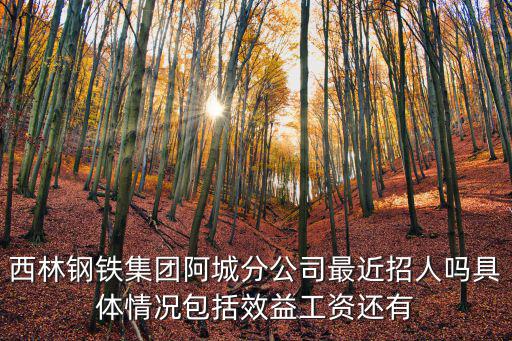 阿城招聘，阿城有哪些廠子招工