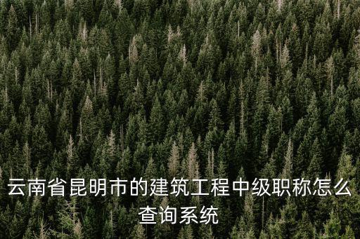 云南省昆明市的建筑工程中級(jí)職稱怎么查詢系統(tǒng)