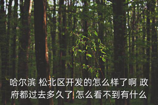 哈爾濱 松北區開發的怎么樣了啊 政府都過去多久了 怎么看不到有什么