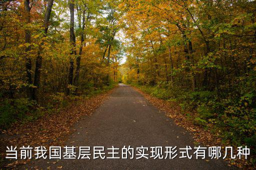當前我國基層民主的實現形式有哪幾種