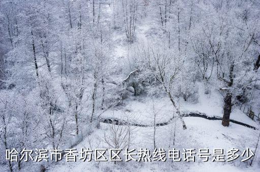哈爾濱市香坊區(qū)區(qū)長熱線電話號是多少