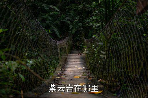 紫云巖，廈門紫云巖在哪里