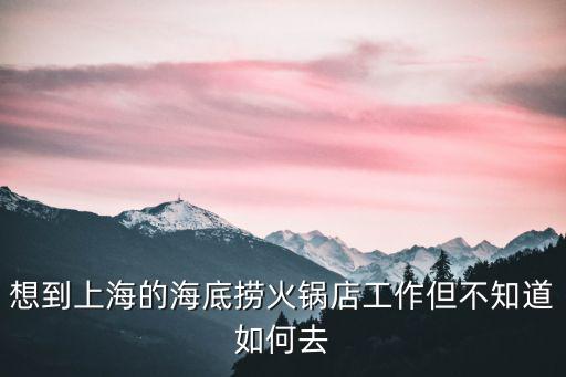 想到上海的海底撈火鍋店工作但不知道如何去
