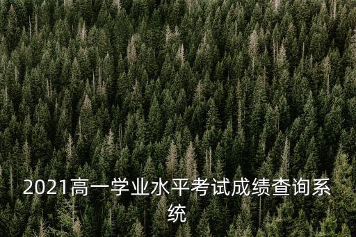 學業水平考試成績查詢系統，手機無線網上可不可以查詢水平學業考試成績