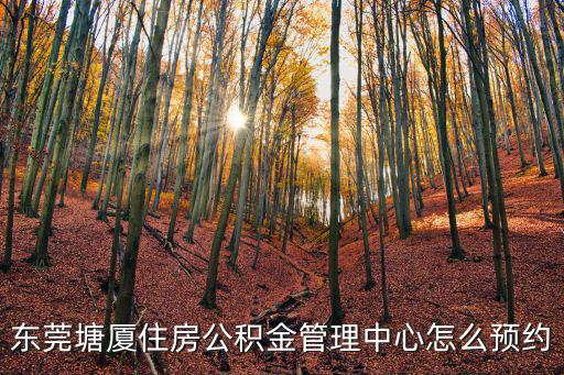 東莞市住房公積金管理中心，東莞住房公積金卡在哪了補辦