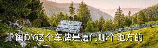 閩DY這個車牌是廈門哪個地方的