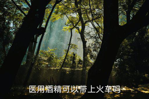 醫(yī)用酒精可以帶上火車嗎