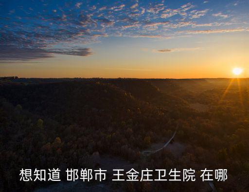 王金莊，涉縣大洼村好還是王金莊好要去轉(zhuǎn)轉(zhuǎn)