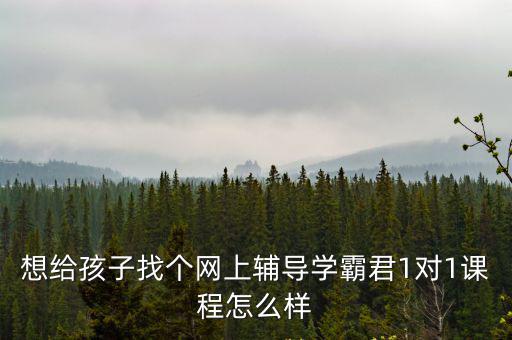 想給孩子找個網上輔導學霸君1對1課程怎么樣