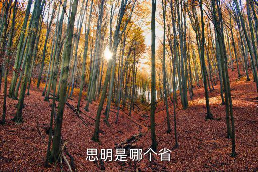 思明是哪個省