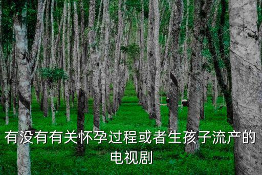 有沒有有關(guān)懷孕過程或者生孩子流產(chǎn)的電視劇