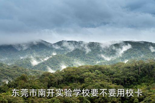 東莞市南開實驗學校要不要用校卡