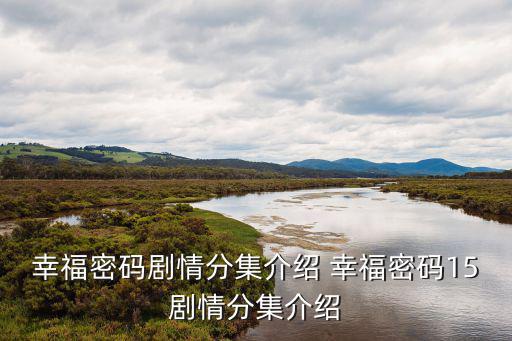 幸福密碼劇情分集介紹，幸福密碼的劇情簡介