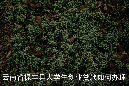 云南省祿豐縣大學生創業貸款如何辦理