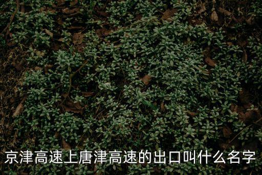 京津高速上唐津高速的出口叫什么名字