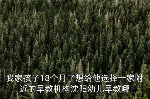 我家孩子18個月了想給他選擇一家附近的早教機構沈陽幼兒早教哪