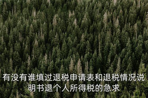 有沒有誰填過退稅申請表和退稅情況說明書退個人所得稅的急求