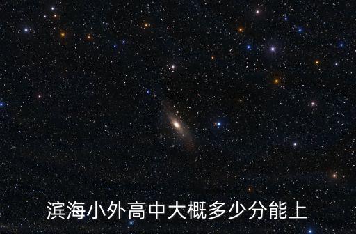 濱海小外高中大概多少分能上