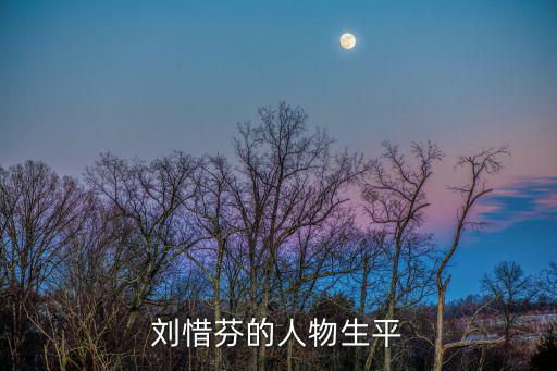 劉惜芬的人物生平