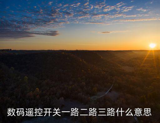 數碼遙控開關一路二路三路什么意思