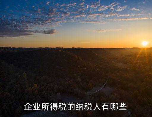 企業所得稅的納稅人有哪些