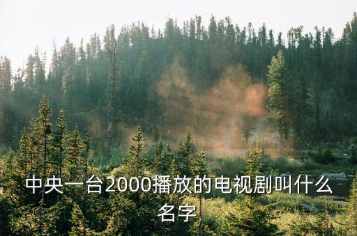 央視一套節目表，中央一臺播出的所有特別節目