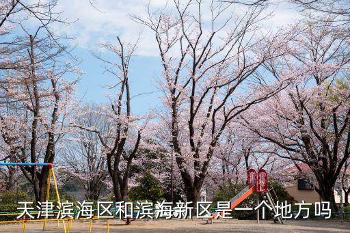 天津?yàn)I海區(qū)和濱海新區(qū)是一個(gè)地方嗎