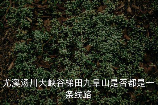 尤溪湯川大峽谷梯田九阜山是否都是一條線路