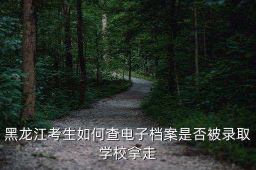 黑龍江考生如何查電子檔案是否被錄取學校拿走