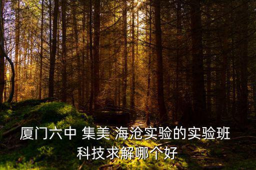 廈門六中 集美 海滄實驗的實驗班 科技求解哪個好