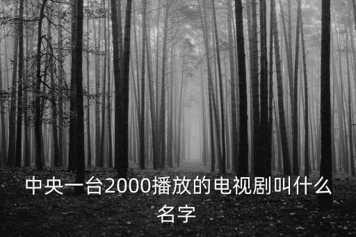 中央一臺2000播放的電視劇叫什么名字