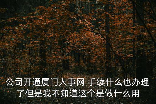 公司開通廈門人事網 手續什么也辦理了但是我不知道這個是做什么用