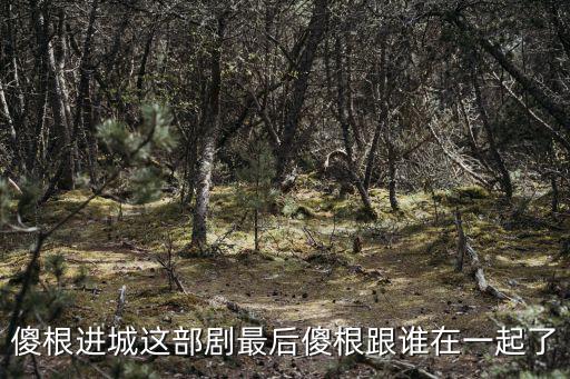 傻根進城這部劇最后傻根跟誰在一起了