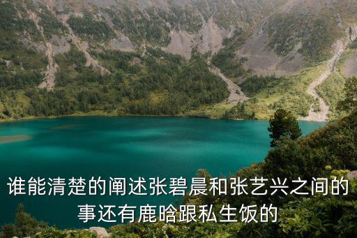 誰能清楚的闡述張碧晨和張藝興之間的事還有鹿晗跟私生飯的