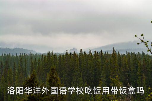 洛陽華洋外國語學校吃飯用帶飯盒嗎