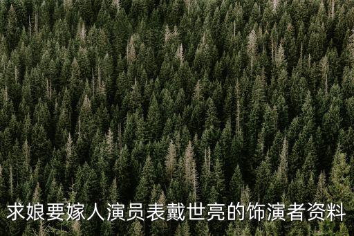 求娘要嫁人演員表戴世亮的飾演者資料