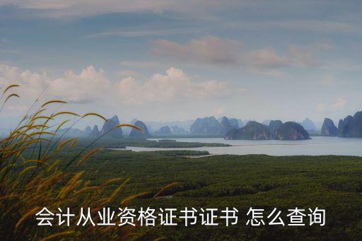 會計(jì)從業(yè)資格證書證書 怎么查詢