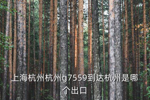 上海杭州杭州g7559到達杭州是哪個出口