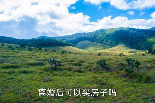 離婚后可以買房子嗎
