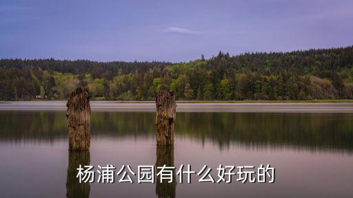 楊浦公園有什么好玩的